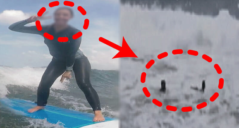 “제발 살려주세요” 풍량주의보 발령 무시한 채 서핑 즐기던 20대 파도에 휩쓸렸다