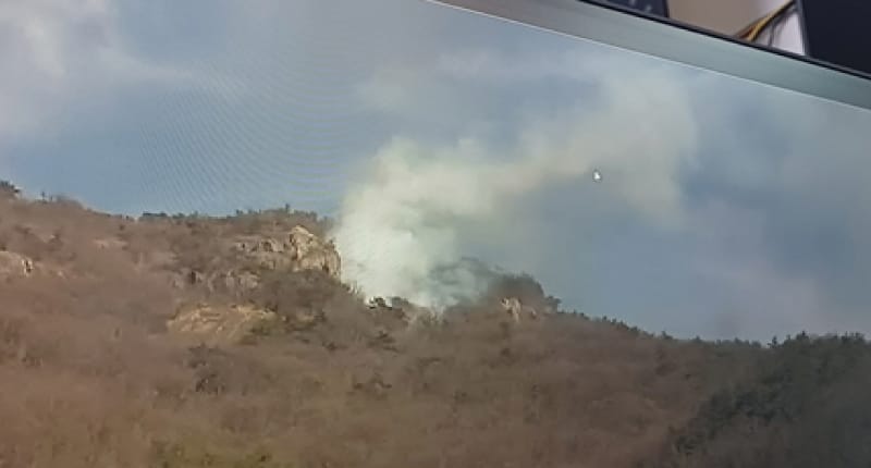 여수시 호랑산 산불, 산림소방당국의 신속한 대응으로 진화 완료