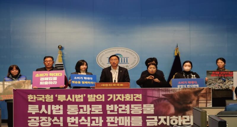 “루시법 논란” 동물보호단체 환영, 반려동물 업계 반발  한국의 동물 복지와 산업의 미래 교차점